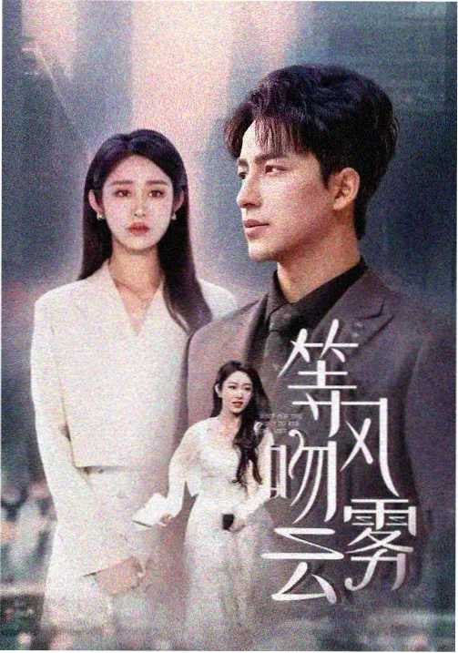 眼睛女神高分悬疑剧集苔原来信